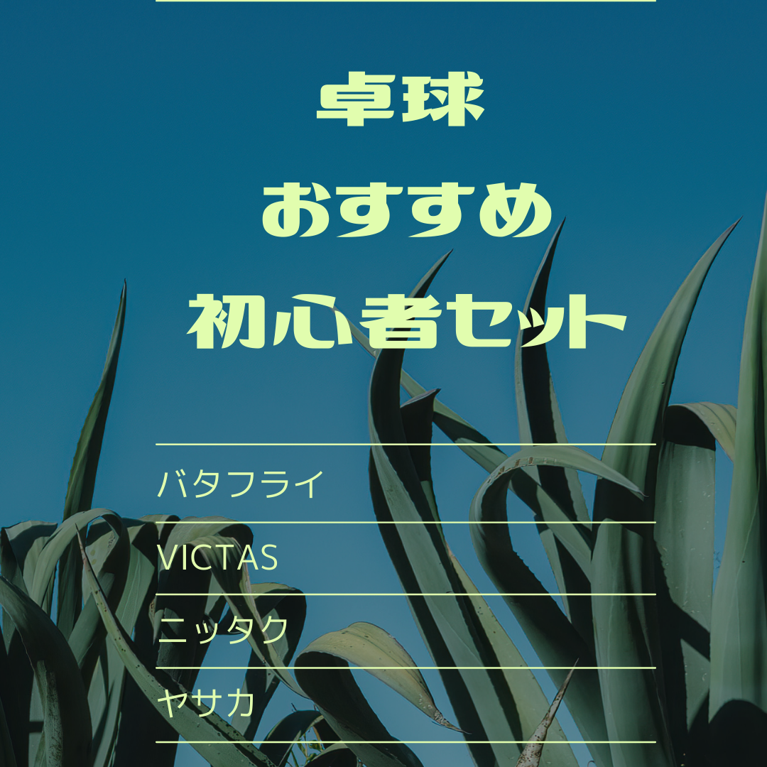 21版 現役卓球コーチが選ぶ初心者向けラケットとラバーおすすめ一覧 我流卓球理論